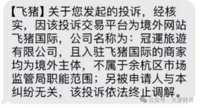 信被约谈 庄卓然领航下的飞猪难翱翔Z6尊龙旗舰厅仿冒“市监局”口吻短(图14)